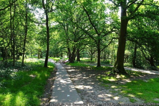 Tunbridge Wells and Rusthall Common